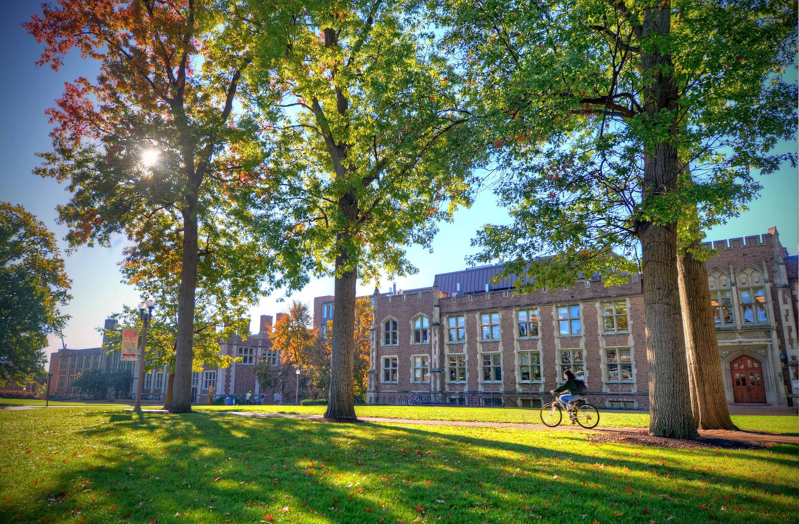 A student riding a bike past a campus building at Washington University in St. Louis on a sunny afternoon