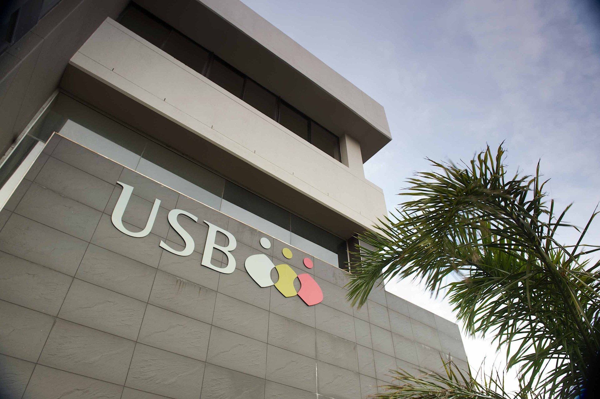 A high-angle photo of USB's Pear Tree building with the school logo and palm tree